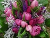 Pink & purple tulips,peony, dusty miller