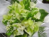 parot tulips, cymbids, lily of the valley
